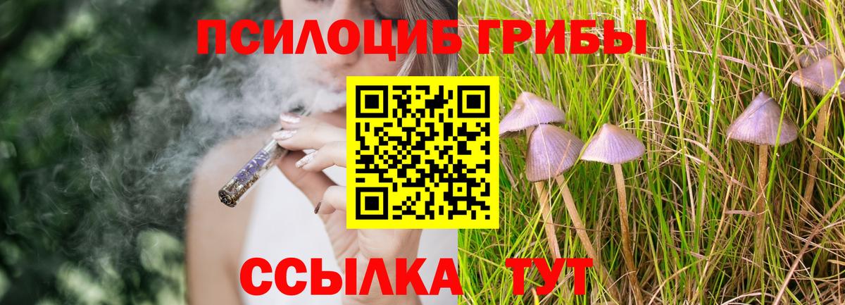 продажа наркотиков  Галлюциногенные грибы Psilocybine cubensis  Вход с VPN  Ликино-Дулёво 